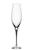 Champagne Tulip Glass
